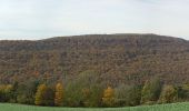 Trail On foot Flavignerot - Du Naizou au Mont Afrique - Photo 2