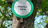 Tour Wandern Rappoltsweiler - ribauville - Photo 11