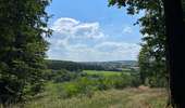 Tocht Stappen Rendeux - Cheoux  - Photo 15