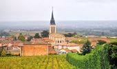 Excursión Senderismo Chiroubles - Itinérant Beaujolais rouge étape 5 Chiroubles- Foretal - Photo 10