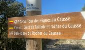 Trail Walking Claret - Lac Matane Claret - Photo 13