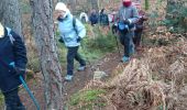 Trail Walking Fontainebleau - Belle-croix 27 janvier 2023  - Photo 9