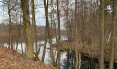 Trail On foot Grünheide (Mark) - Möllensee-Umwanderung - Photo 6