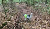 Trail Walking Habay - Le grand ruisseau  - Photo 7