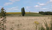 Randonnée Marche L'Île-Bouchard - l'île-Bouchard - Brizay Theneuil Parçay-sur-Vienne - 24km 300m 5h10 (1h05) - 2024 07 24 - Photo 10