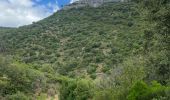 Excursión Senderismo Minerve - Minerve - Photo 1