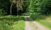 Trail Walking Assesse - Randonnée Laneville au bois - Photo 20