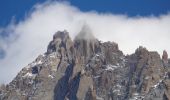 Trail Walking Chamonix-Mont-Blanc - TRK000 - Photo 6