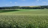 Tocht Stappen Origny-Sainte-Benoite - Origny Sainte Benoite - Photo 3