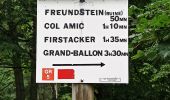 Tocht Stappen Wattwiller - 04-08-23 tour Vosges J4 : Hirtzenstein - Grand Ballon - Photo 2