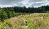 Trail Walking Libramont-Chevigny - Séviscourt - Photo 10
