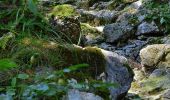 Percorso A piedi Gemeinde Mitterbach am Erlaufsee - Erlaufsee - Brunnsteinalm - Photo 10