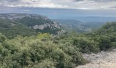 Excursión Ruta Cheval-Blanc - Bergerie-Sapine-Bedoin-vallon des Buisses(20K 630D+) - Photo 1