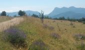 Trail Walking Rimon-et-Savel - Rimon-et-Savel CKCC - Photo 6