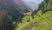 Trail Walking Aragnouet - Granges de moudang et source ferrugineuse  - Photo 10