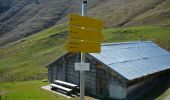 Tocht Te voet Kiefersfelden - Wanderweg 49 - Kiefersfelden - Photo 8