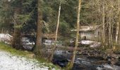 Tocht Stappen Gérardmer - Roches de Bruyères et du Page, Gorges du Roitelet - Photo 20