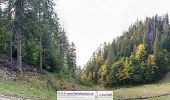 Trail On foot Brasov - Timișu de Jos - Cabana Postăvaru/Julius Romer - Brașov - Photo 1