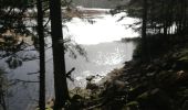 Trail Walking Xonrupt-Longemer - 25022021 Les trois lacs - Photo 9