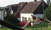 Tour Zu Fuß Overath - Fischermühle Rundweg A3 - Photo 10