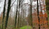 Tour Wandern Maaseik - 2021-11-06_16h45m30_930 - Photo 4