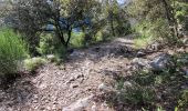 Tocht Stappen Saint-Cézaire-sur-Siagne - Le canal et la rivière de la Siagne  - Photo 18