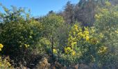 Tocht Stappen Le Muy - Les trois croix  Roquebrune - Photo 4