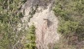 Trail Walking La Saulce - LA SAULCE . BOUCLE DE SERRE SOLEILLE O M - Photo 9