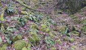 Randonnée Marche Beure - Beure de la pisseur au mercureau  - Photo 9