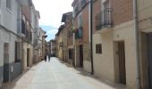 Trail Walking Estella-Lizarra - Mis Arcos - Photo 1