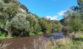 Trail Walking Comblain-au-Pont - ambleve . pic de Napoléon . roches noires . ourthe  - Photo 5