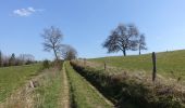 Randonnée Marche Léglise - Ebly - La Claire Fagne - Photo 4