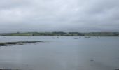 Tour Zu Fuß The Municipal District of Bandon – Kinsale - Courtmacsherry Loop - Photo 2