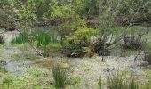 Excursión Senderismo Fontainebleau - Croix de Souvray 070521 - Photo 2