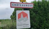 Tocht Stappen Châteauneuf - châteauxneuf  - Photo 1