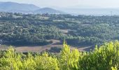 Tour Pfad Sainte-Tulle - La Réserve et le Clapier(14,5K 270D+) - Photo 5