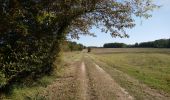 Trail Walking Lussault-sur-Loire - Lussault-sur-Loire - Grille Dorée Pagode de Chanteloup - 15.1km 160m 3h15 - 2023 10 11 - Photo 4