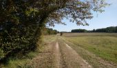 Tour Wandern Lussault-sur-Loire - Lussault-sur-Loire - Grille Dorée Pagode de Chanteloup - 15.1km 160m 3h15 - 2023 10 11 - Photo 4