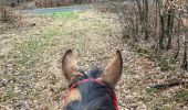 Trail Horseback riding Saint-Martin - Samedi 17 février 24 Tivio  - Photo 3