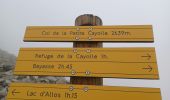 Percorso Marcia Allos - ALLOS. LAC D ALLOS. COL DE LACAYOLE .O - Photo 11