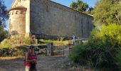 Trail Walking Sainte-Lucie-de-Tallano - Santa Luccia a Burgo - Photo 7