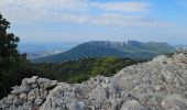 Randonnée Marche La Farlède - De La farlède vers le sommet du Mont Coudon, puis retour par le petit Coudon - Photo 5