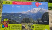 Trail Walking Saint-Gervais-les-Bains - J17 - R16 - Le Plan de la Croix - Bettex - Photo 5