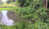 Trail Walking Aywaille - Le tour de septroux - Photo 14