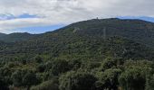 Excursión Senderismo Argelès-sur-Mer - massane - Photo 16