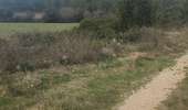 Tour Wandern Buzignargues - G3_Buzignargues - Photo 14