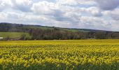 Tour Wandern Onhaye - 10/04/22 adeps Anthée  - Photo 1