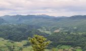 Tour Wandern Villard-de-Lans - La moliere - col d'herbouilly - pot du loup - crête - Photo 11