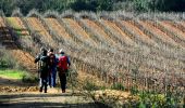 Tocht Stappen La Crau - Fenouillet - Chateau de Hyères - retour par les vignes - Photo 5