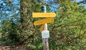 Trail Walking Sisteron - SISTERON  Sur la route du temps o l s - Photo 18